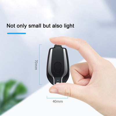 Lux Power Bank Charger