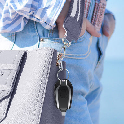 Lux Power Bank Charger