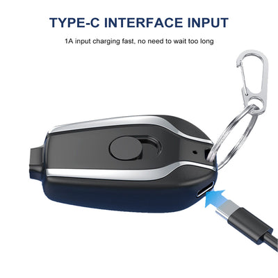 Lux Power Bank Charger
