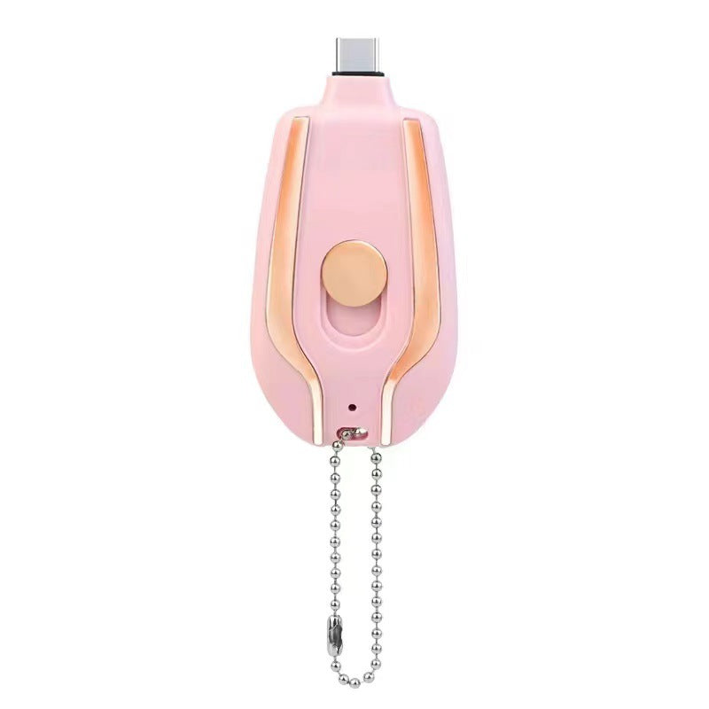 Lux Power Bank Charger