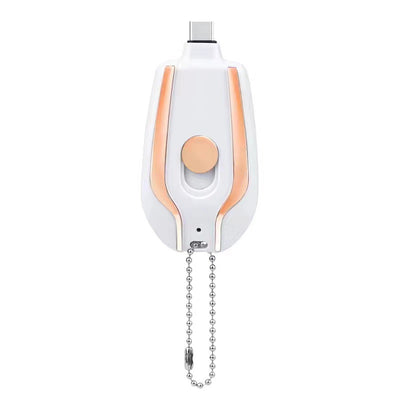 Lux Power Bank Charger