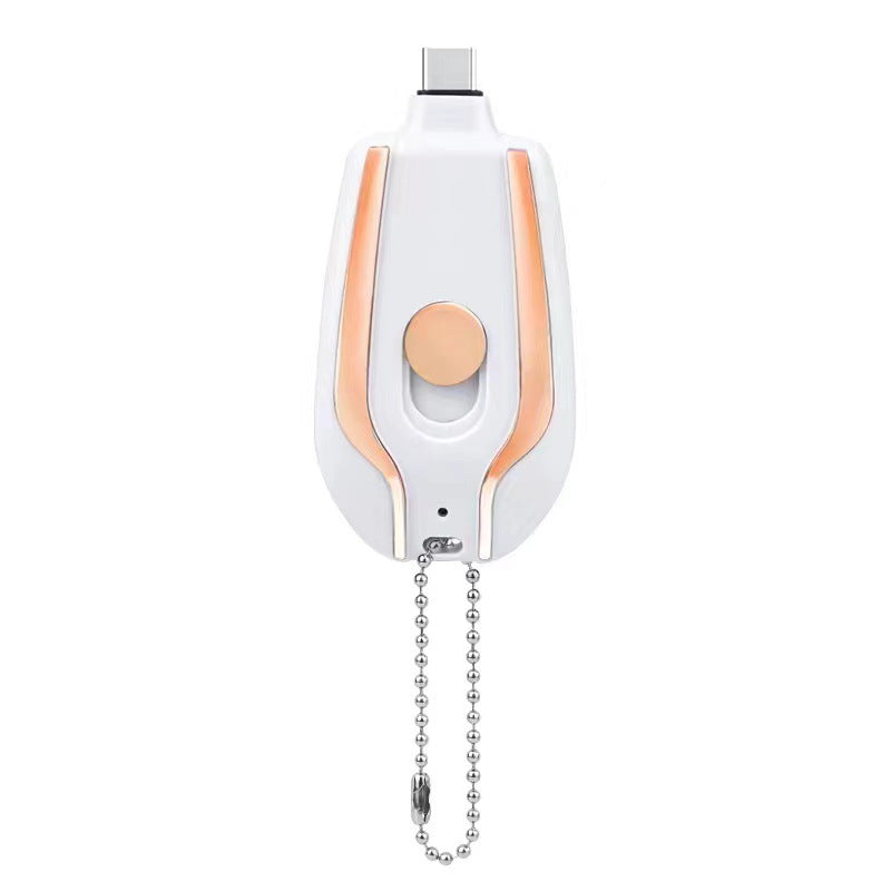 Lux Power Bank Charger