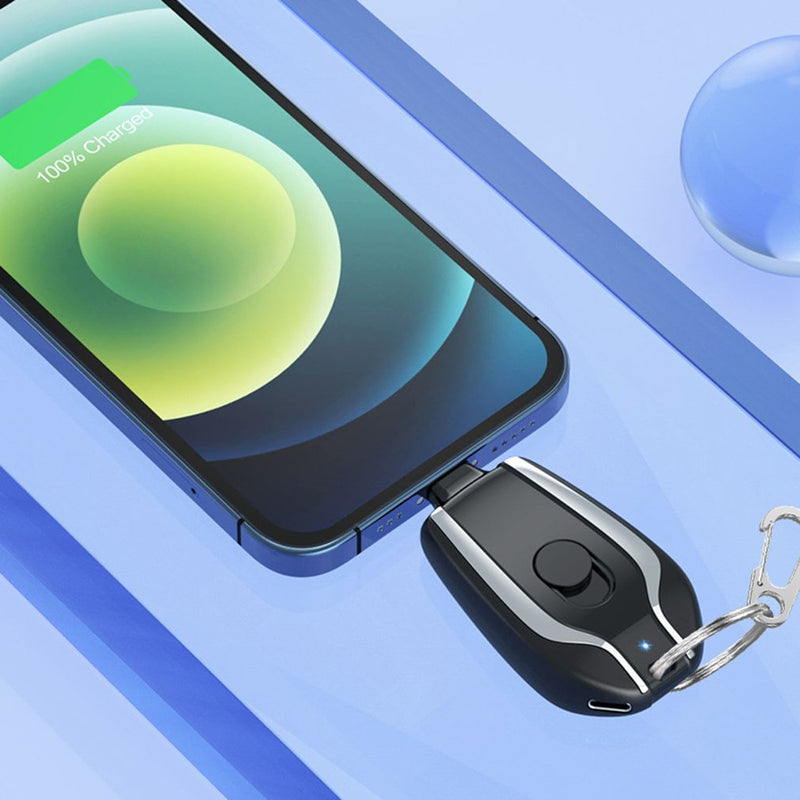 Lux Power Bank Charger